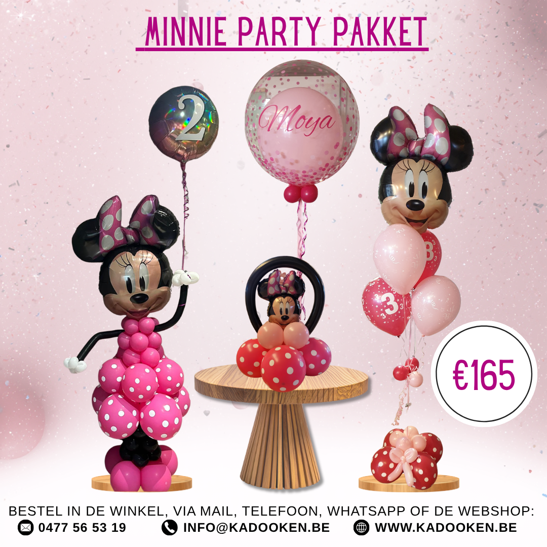 Minnie Mouse Pakket