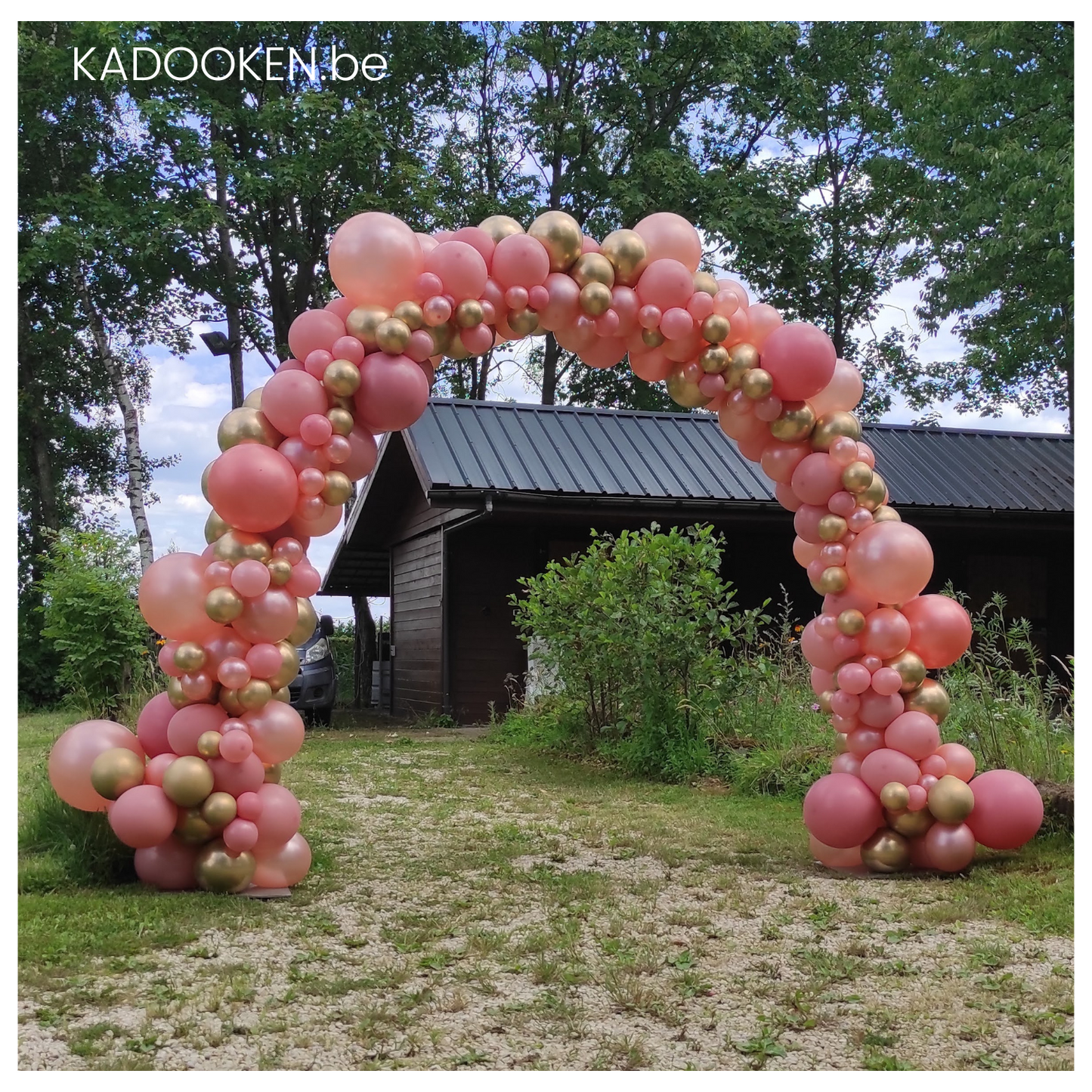 Ballonboog - Organic