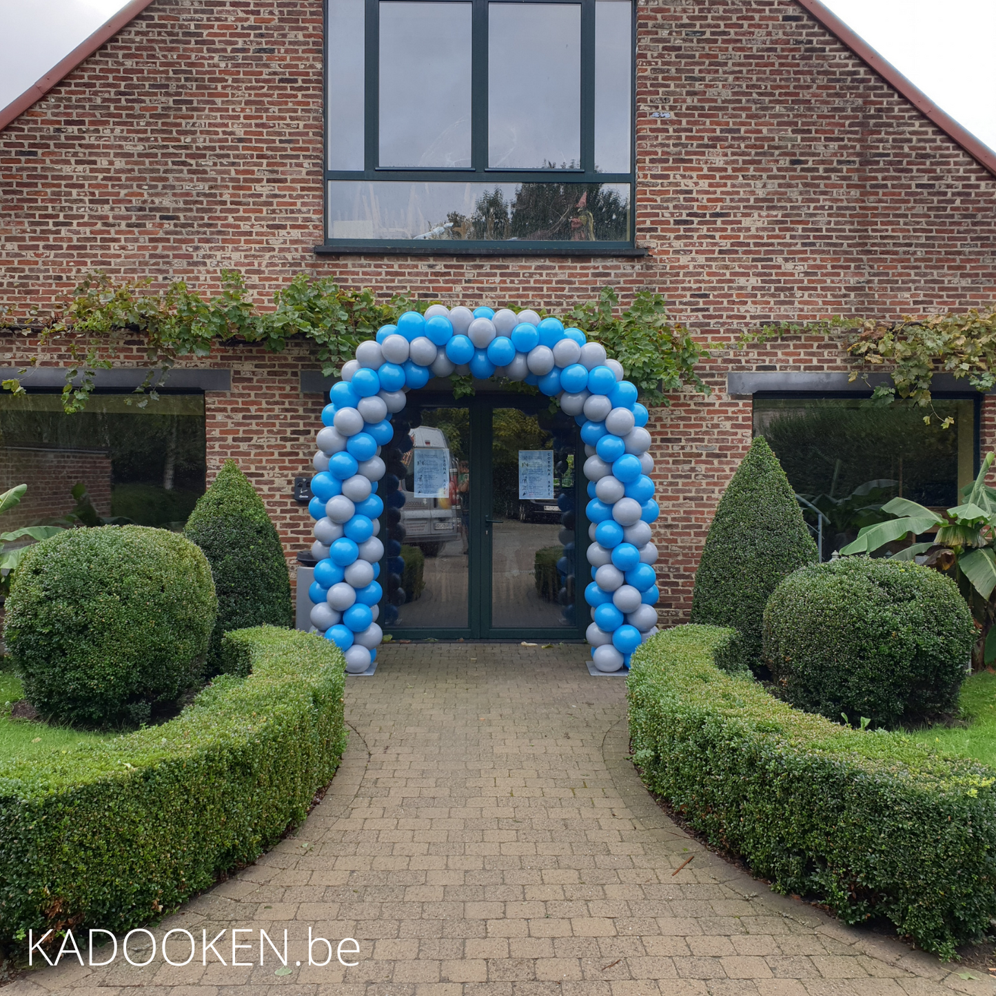 Standaard Ballonboog