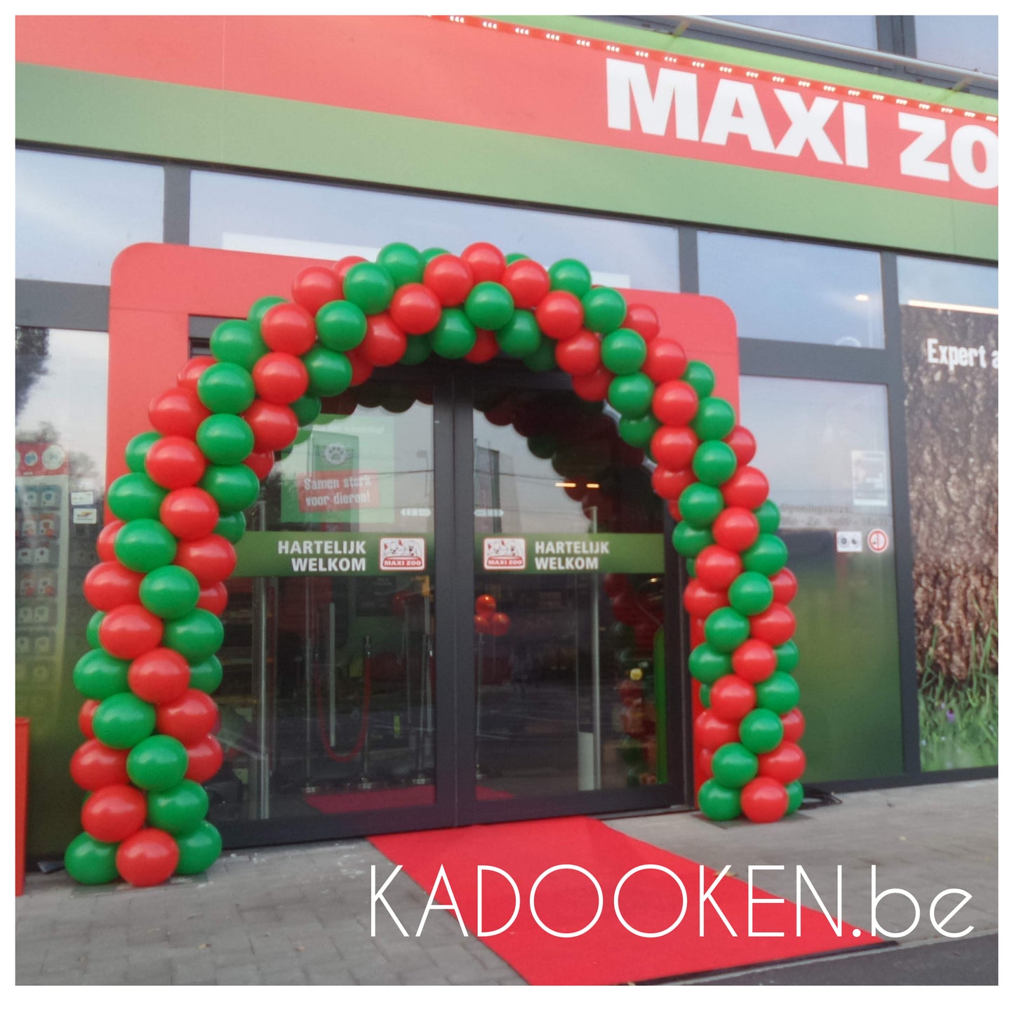 Standaard Ballonboog Opendeurdag-opening-heropening,...